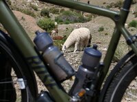 Thomas Widerin - cycling the world - Long Way Home 2023